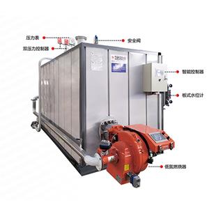 燃?xì)庹羝l(fā)生器