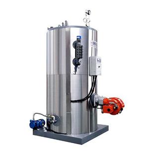 立式蒸汽發(fā)生器